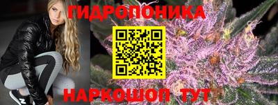 стафф Можга
