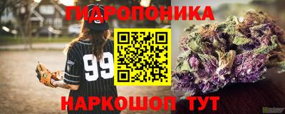 индика Нальчик