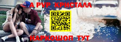 индика Нальчик