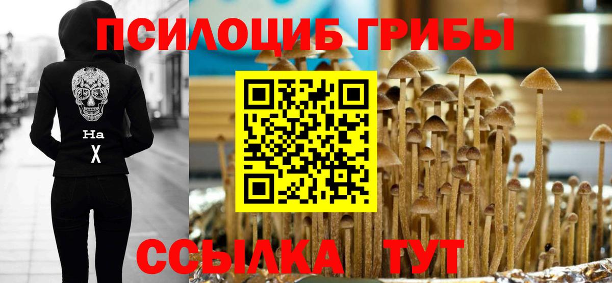 Ростов-на-Дону  Псилоцибиновые грибы Magic Shrooms  Вход с VPN 